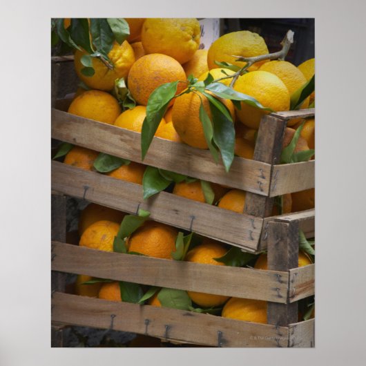 frisch gepflückte Orangen Poster (Vorne)