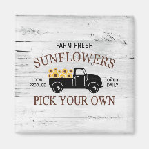 Frisch gepflückte Sonnenblumen Farm Truck Magnet
