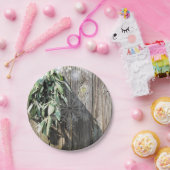 Frisch geschnittener Sage Barn-wood Snowflake Twin Pappteller (Party)