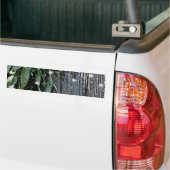 Frisch geschnittener Sage Barn-wood Twinkle Lights Autoaufkleber (Auf Lkw)