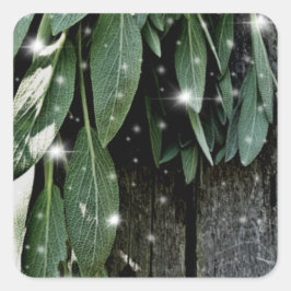 Frisch geschnittener Sage Barn-wood Twinkle Lights Quadratischer Aufkleber