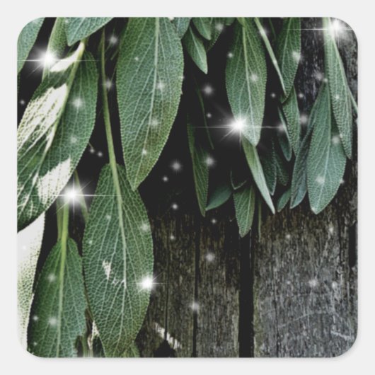 Frisch geschnittener Sage Barn-wood Twinkle Lights Quadratischer Aufkleber (Vorderseite)