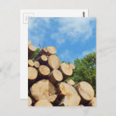 frisch geschnittenes Holz im Wald unter blauem Him Postkarte (Vorne/Hinten)