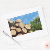 frisch geschnittenes Holz im Wald unter blauem Him Rechteckiger Aufkleber (Umschlag)