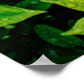 frisch grüne Blätter sehen schön und sehr natürlic Poster (Ecke)