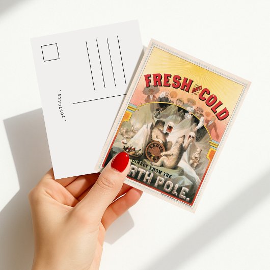 Frisch und kalt - Bier direkt vom Nordpol Postkarte