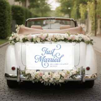 Frisch Vermählt Auto Banner