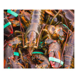 Frisch weg vom ProFoto des Boots-24x20 Kodak Fotodruck