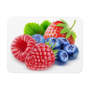 Frischbeeren Magnet