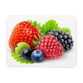 Frischbeeren Magnet (Horizontal)