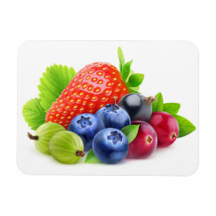 Frischbeeren Magnet