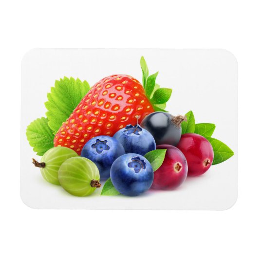 Frischbeeren Magnet (Horizontal)