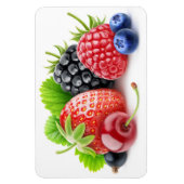 Frischbeeren Magnet (Vertikal)