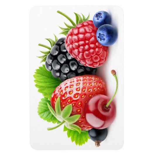 Frischbeeren Magnet (Vertikal)