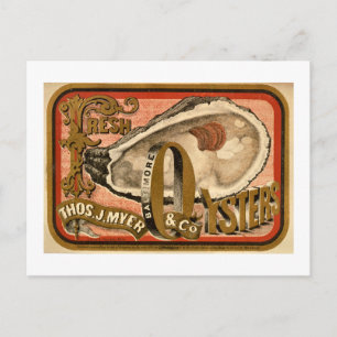 Frische Austern Vintage Baltimore Anzeige circa 18 Postkarte