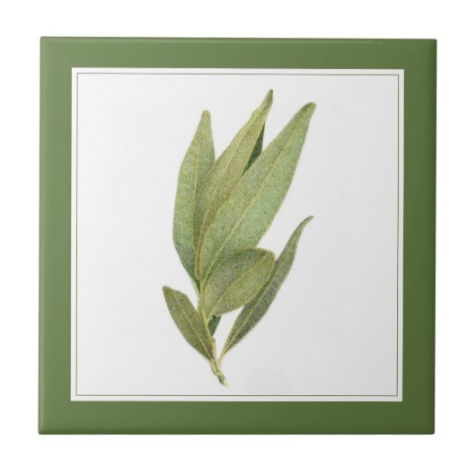 FRISCHE BAY BLÄTTER 4.25" Keramik Tile (-text) Grü Fliese (Vorderseite)