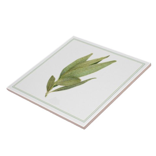 FRISCHE BAY-BLÄTTER 6"x6" Keramik-Tile (-text) Fliese (Seite)