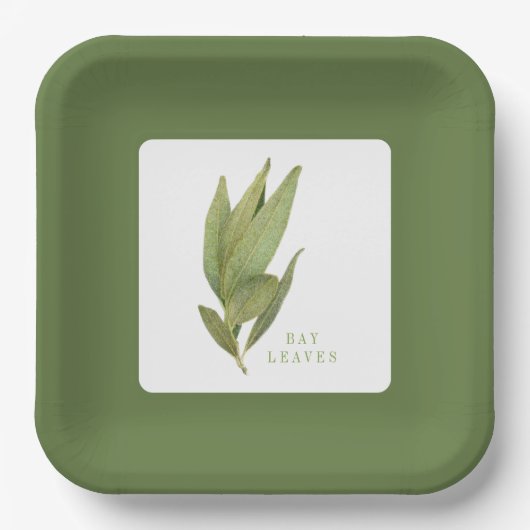 FRISCHE BAY BLÄTTER 9" Square Paper Tellers - Gree Pappteller (Vorderseite)