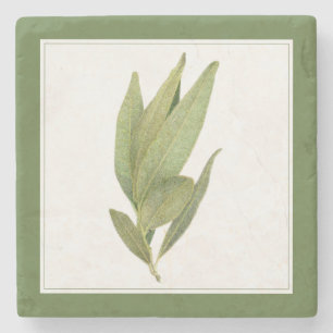 FRISCHE BAY BLÄTTER Marble Stone Untersetzer - Tex