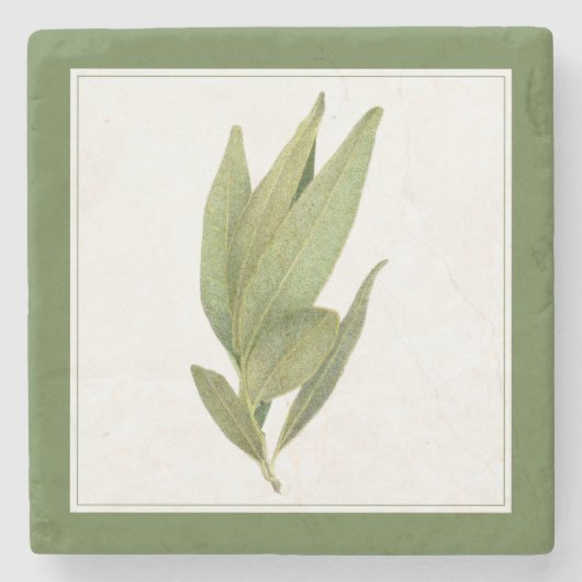 FRISCHE BAY BLÄTTER Marble Stone Untersetzer - Tex (Vorderseite)