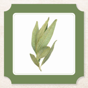 FRISCHE BAY-BLÄTTER Ticket Paper Untersetzer - Tex