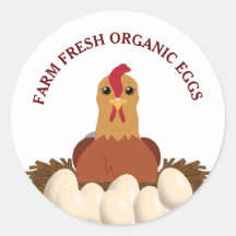 Frische Bio Eier Hühnerhenne