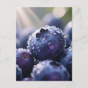 Frische Blaubeeren Nahaufnahme Postkarte