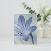 Frische Blaue Blumenfoto Postkarte (Stehend Vorderseite)