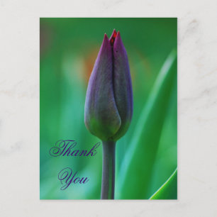 Frische blühende violette Tulpe Dankeschön-Postkar Postkarte