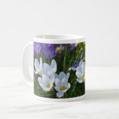 Frische Crocuses in verschiedenen Farben Kaffeetasse (Vorderseite Links)