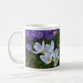 Frische Crocuses in verschiedenen Farben Kaffeetasse (Links)