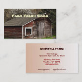 Frische Ei-Visitenkarte Visitenkarte (Vorne/Hinten)