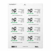 Frische Eier (Vorne)