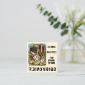 Frische Eier aus unserem Hinterhof Hühner zum Verk Quadratische Visitenkarte (Stehend Vorderseite)