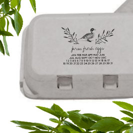 Frische Eier Enteneier Karton-Briefmarke Gummistempel