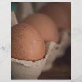 Frische Eier Flyer (Vorne)