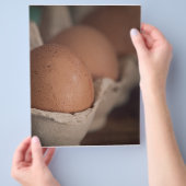 Frische Eier Flyer (Hand)