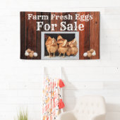 Frische Eier für den Verkauf Banner (Insitu)