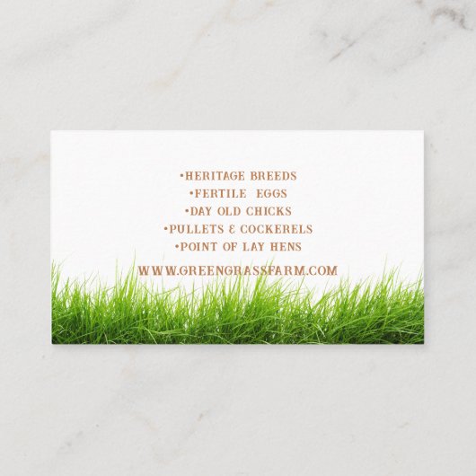 Frische Eier Neuheit Design Visitenkarte (Rückseite)