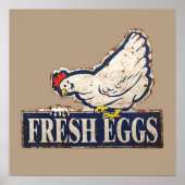 frische Eier Poster (Vorne)
