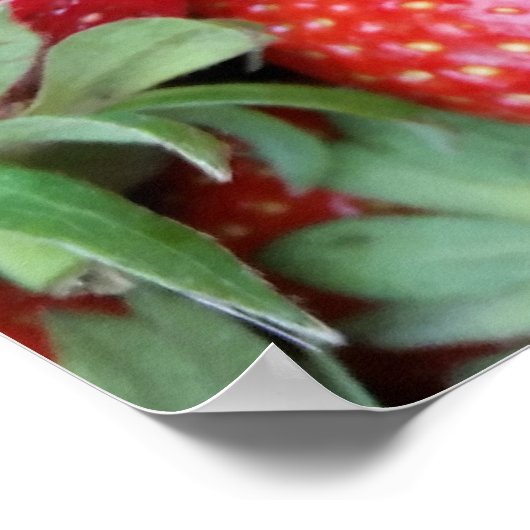 frische Erdbeeren 1 Poster (Ecke)