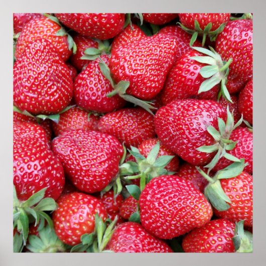 frische Erdbeeren 1 Poster (Vorne)