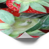 frische Erdbeeren 2 Poster (Ecke)
