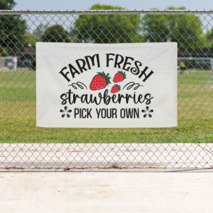 Frische Erdbeeren aus der Landwirtschaft wählen ei Banner