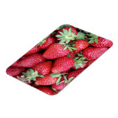 frische Erdbeeren Magnet (Linke Seite)