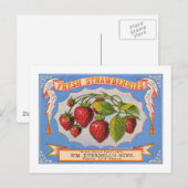 Frische Erdbeeren Postkarte (Vorne/Hinten)