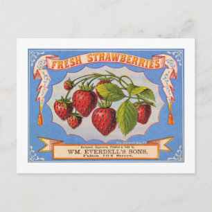 Frische Erdbeeren Postkarte