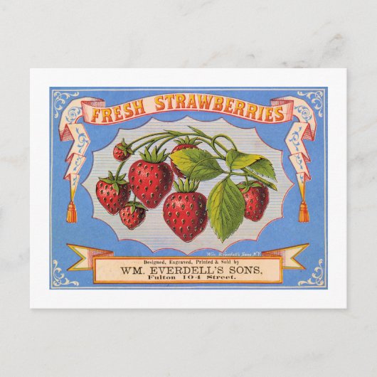 Frische Erdbeeren Postkarte (Vorderseite)