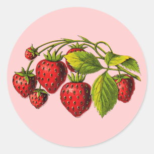 Frische Erdbeeren Runder Aufkleber