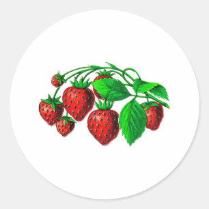 Frische Erdbeeren Runder Aufkleber